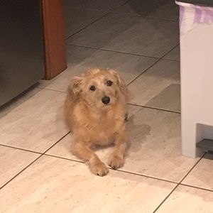 Meet your Posher, Uretta